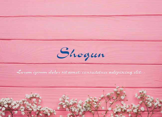 Shogun example