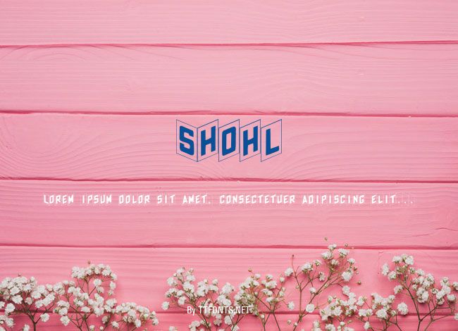 Shohl example