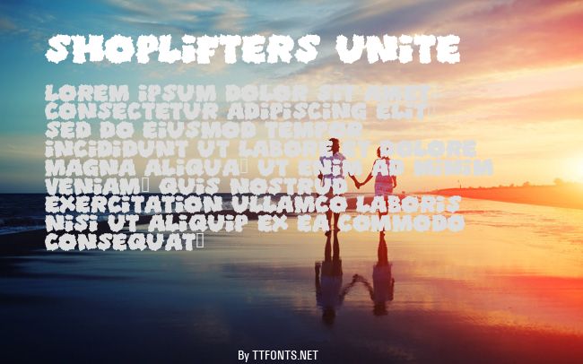 Shoplifters unite example
