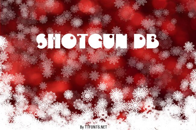 Shotgun DB example