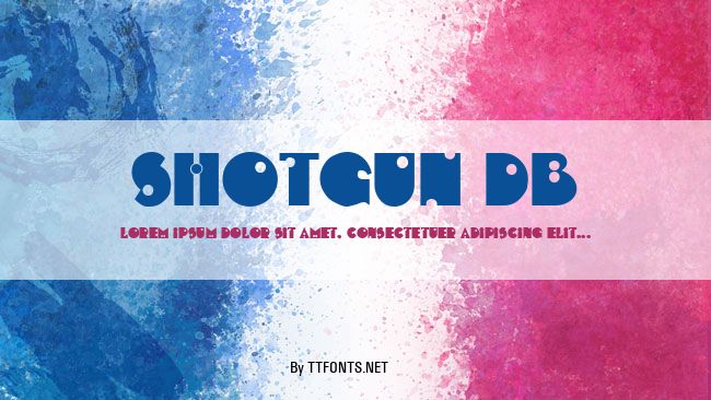 Shotgun DB example