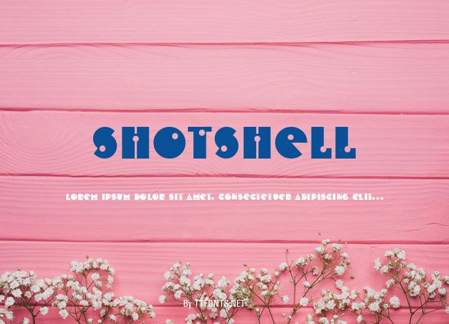 ShotShell example