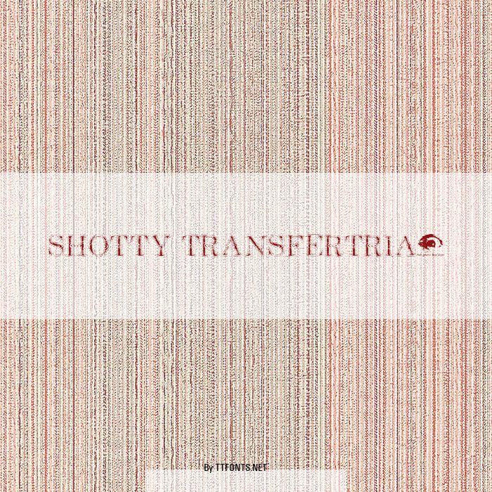 Shotty TransferTrial example