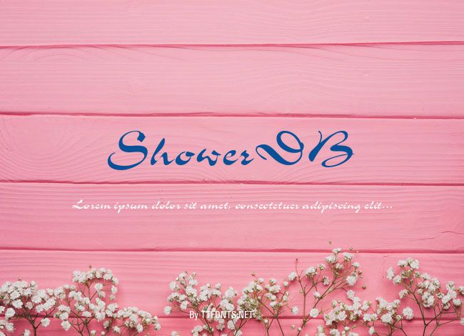 ShowerDB example
