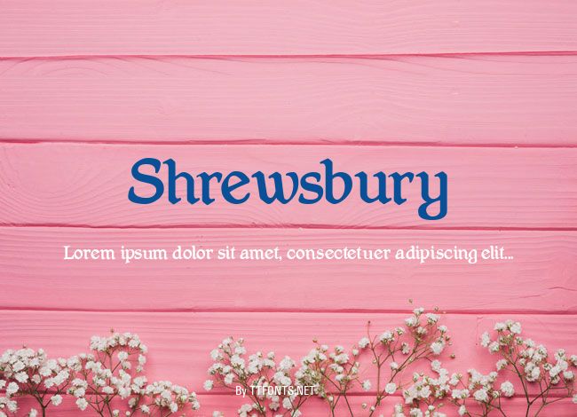 Shrewsbury example