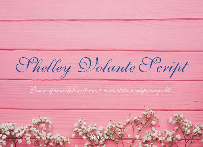 Shelley Volante Script example