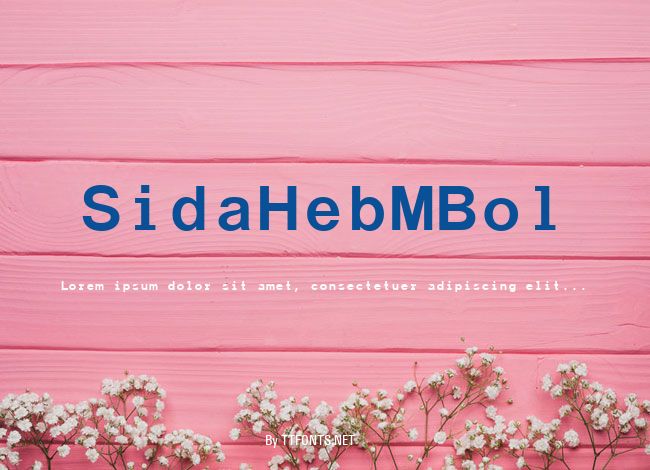 SidaHebMBol example