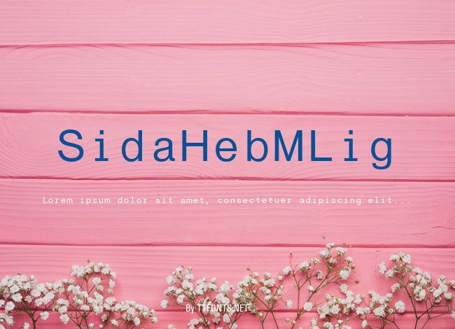 SidaHebMLig example