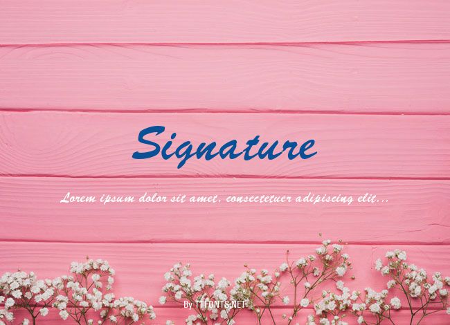 Signature example