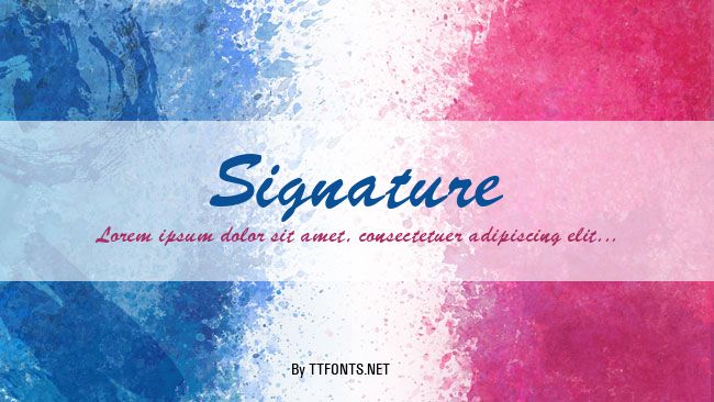 Signature example