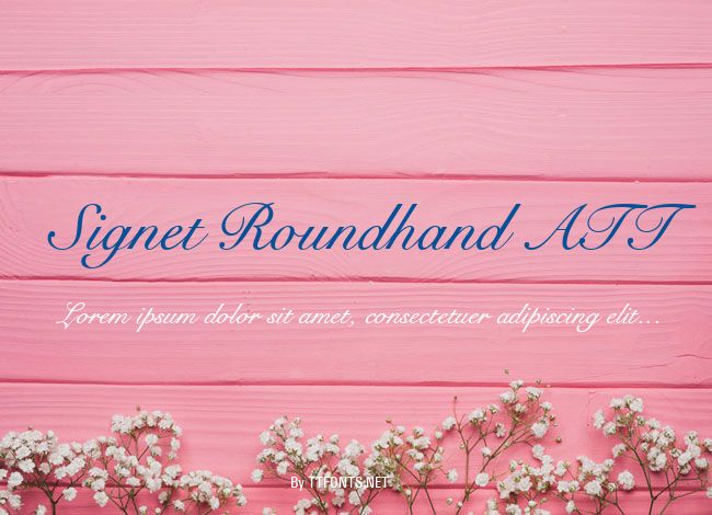 Signet Roundhand ATT example