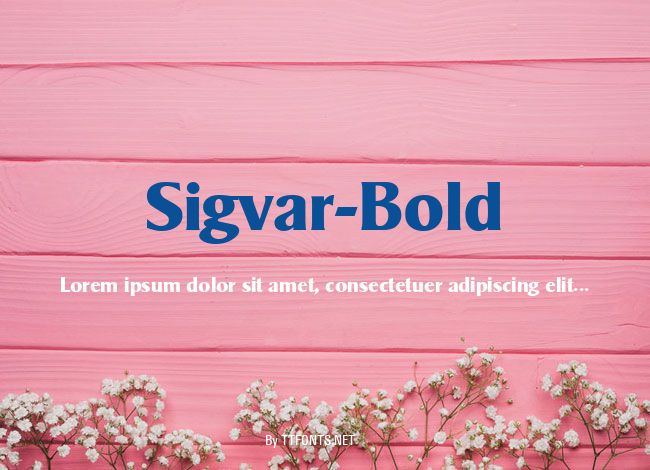 Sigvar-Bold example