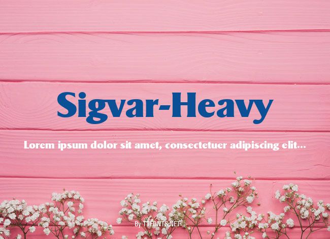 Sigvar-Heavy example