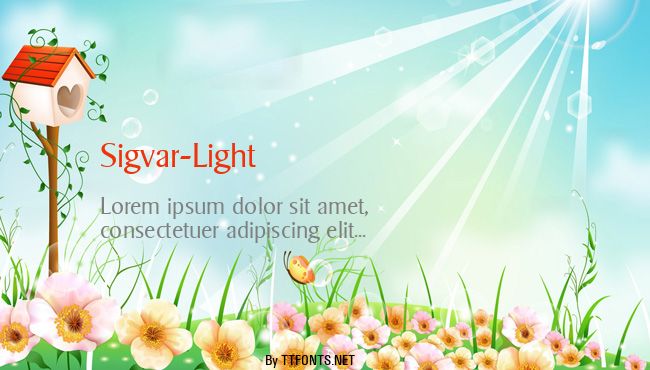 Sigvar-Light example