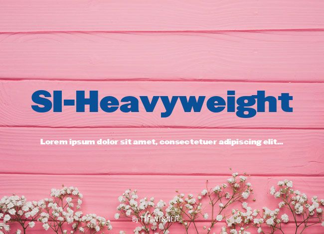 SI-Heavyweight example