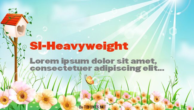 SI-Heavyweight example
