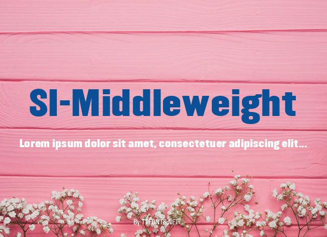 SI-Middleweight example