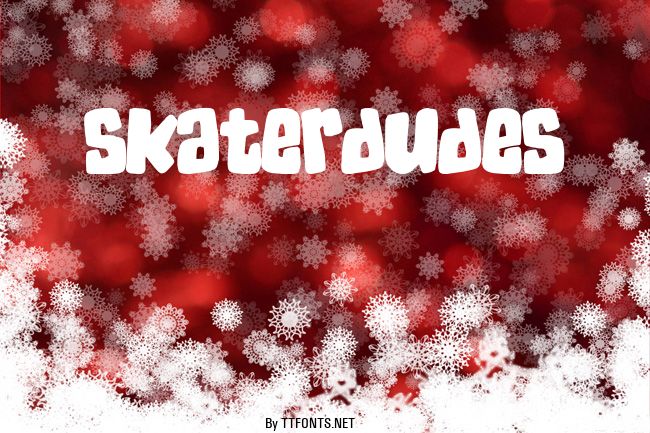 SkaterDudes example