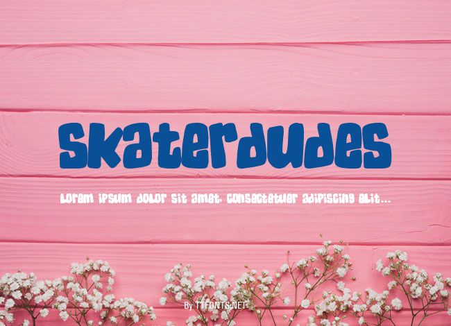 SkaterDudes example