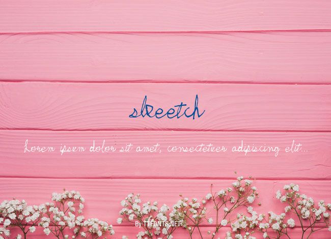 skeetch example