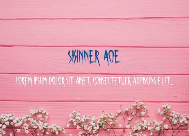 Skinner AOE example