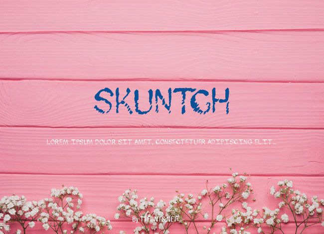 Skuntch example