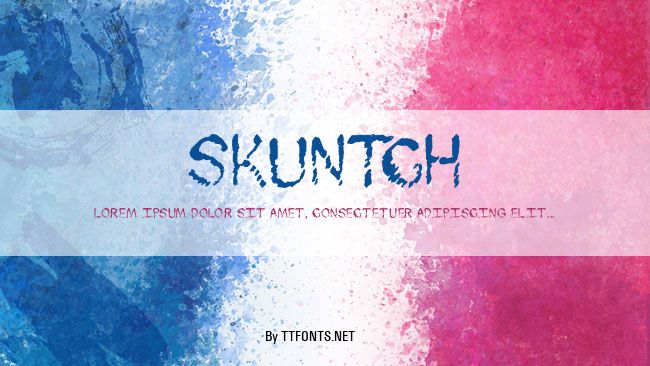 Skuntch example