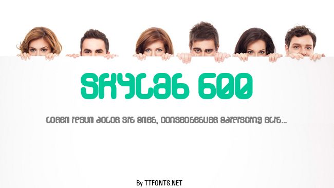 Skylab 600 example