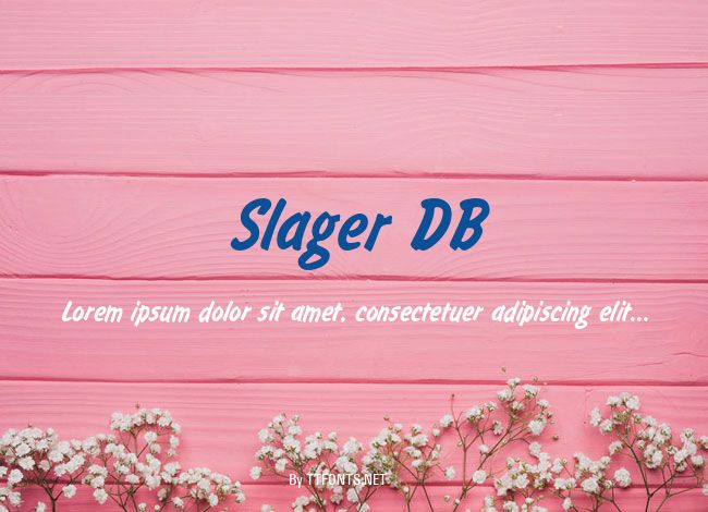 Slager DB example