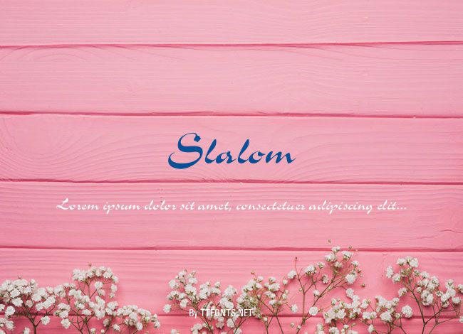 Slalom example