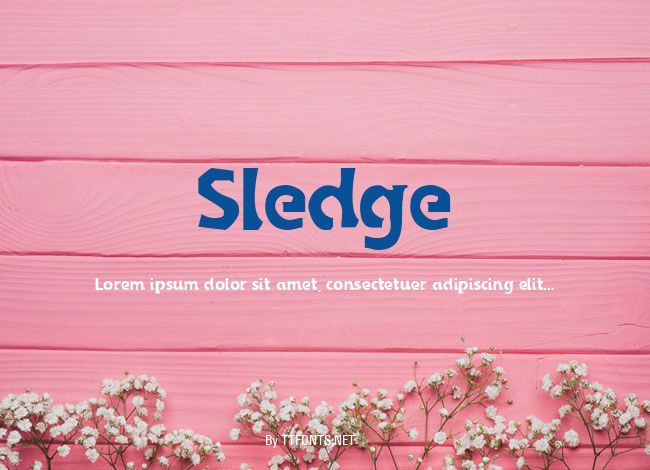 Sledge example
