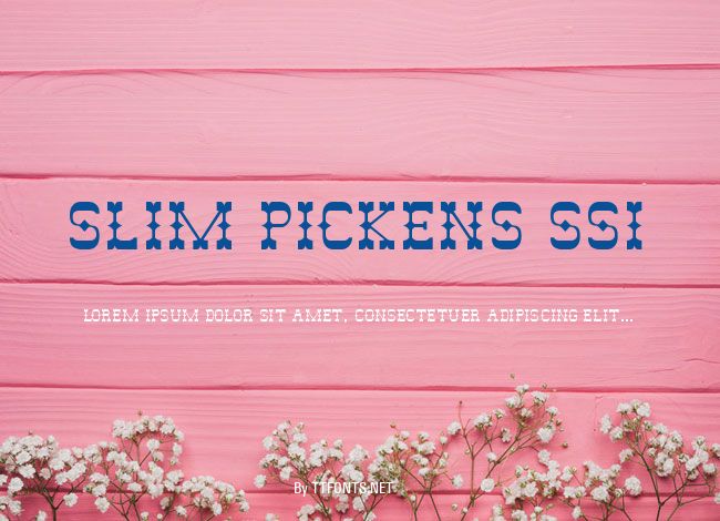 Slim Pickens SSi example