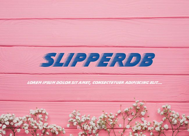 SlipperDB example