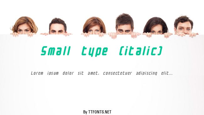 Small type (italic) example