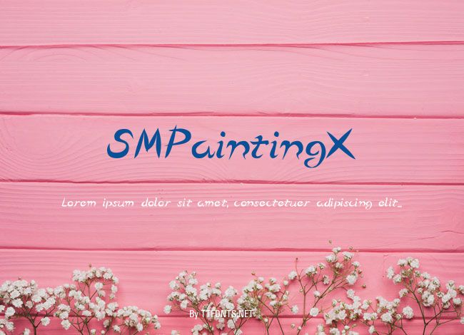 SMPaintingX example