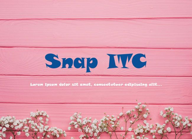 Snap ITC example