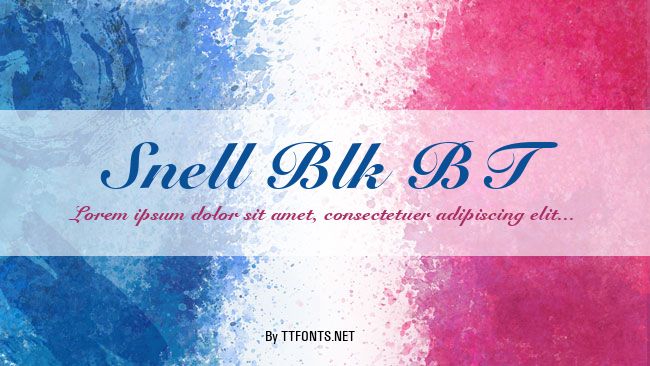 Snell Blk BT example