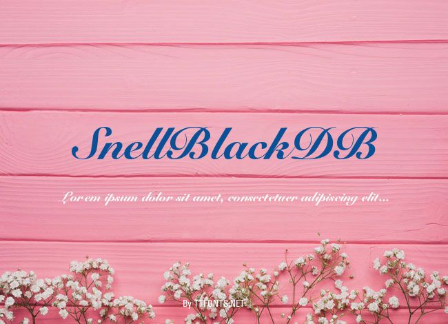 SnellBlackDB example