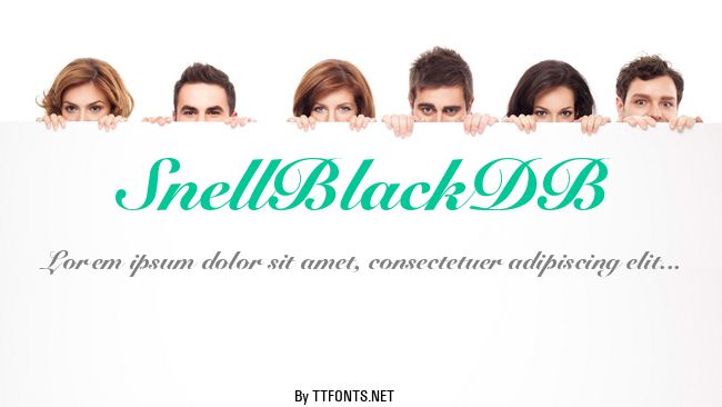 SnellBlackDB example