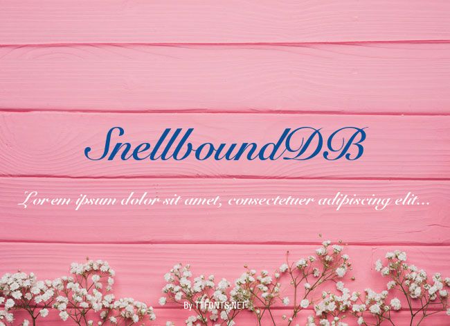 SnellboundDB example