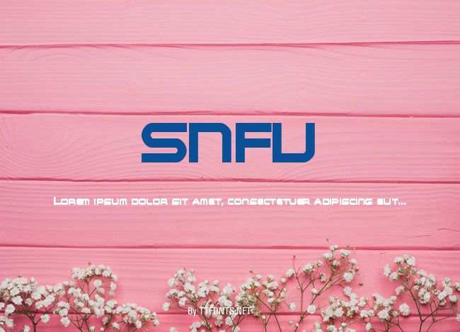 SNFU example