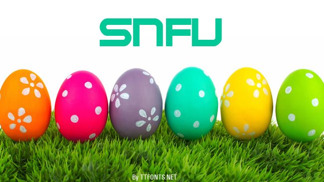 SNFU example