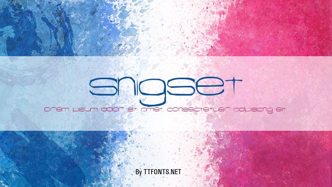 Snigset example