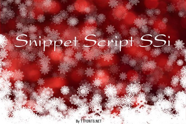 Snippet Script SSi example