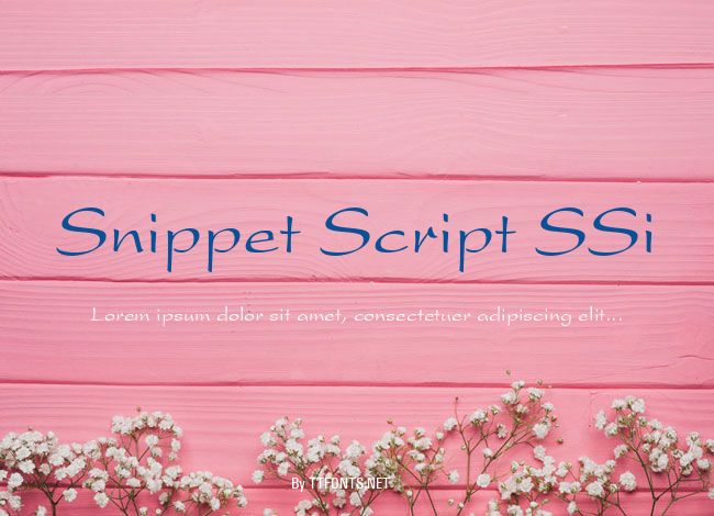Snippet Script SSi example