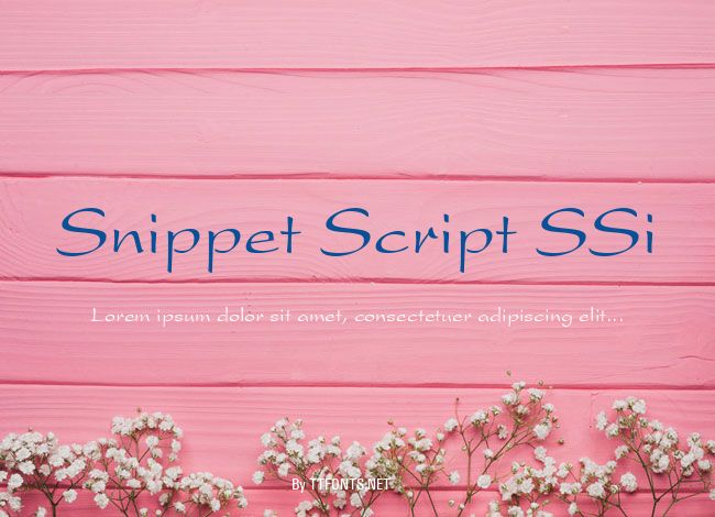 Snippet Script SSi example