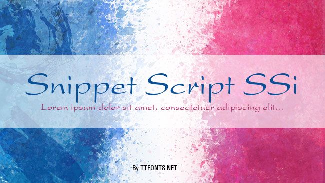 Snippet Script SSi example