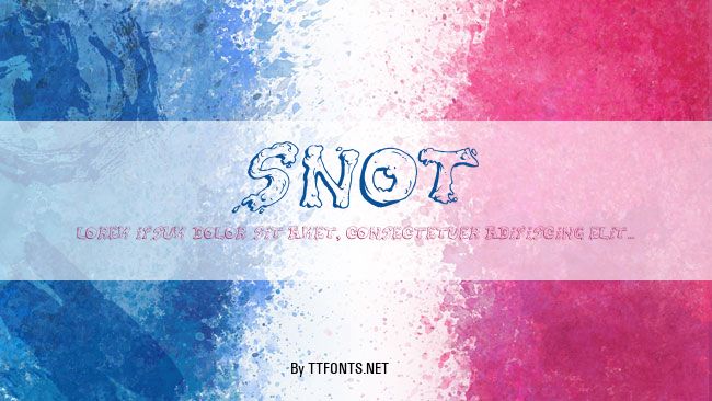 Snot example