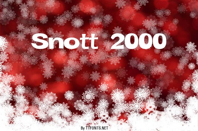 Snott 2000 example