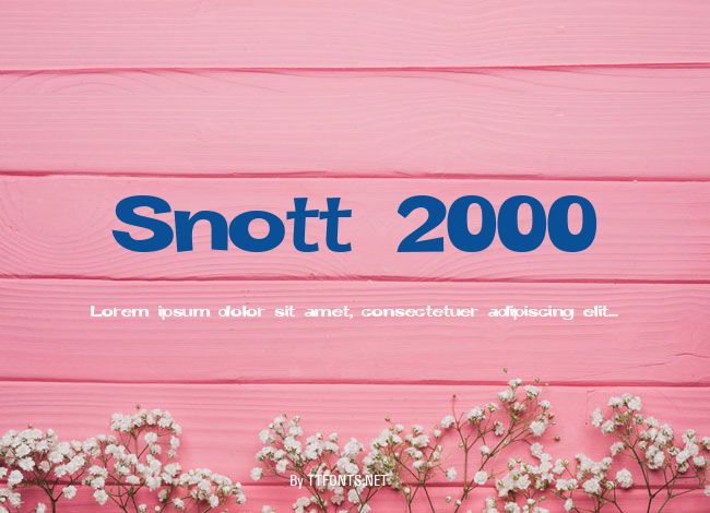 Snott 2000 example
